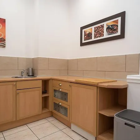 Lägenhet Located, 150 M2 5 Bedrooms Apt., Budapest